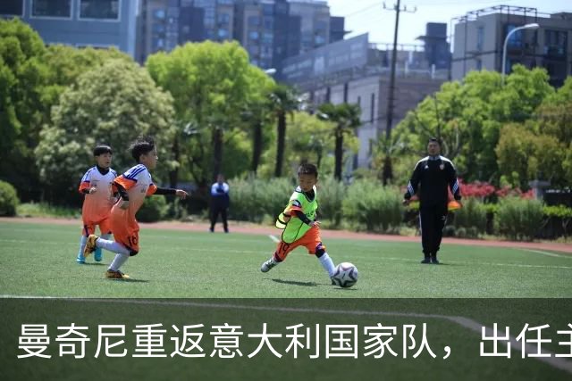 曼奇尼重返意大利国家队，出任主帅